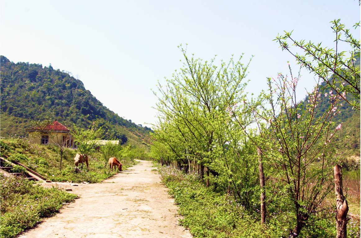 mien-tay-nghe-an-10.jpg