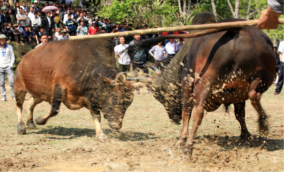 mien-tay-nghe-an-21.jpg