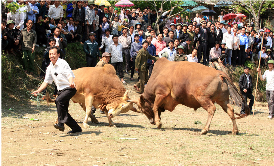 mien-tay-nghe-an-22.jpg