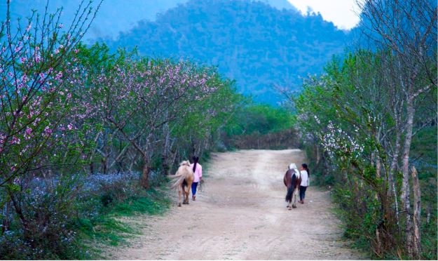 mien-tay-nghe-an-9.jpg