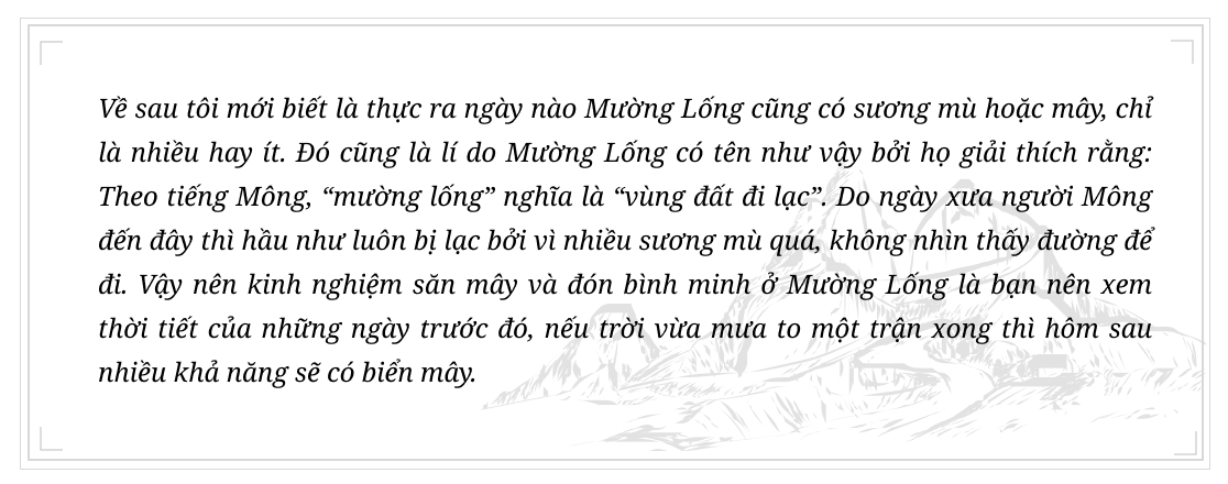quote-2.png