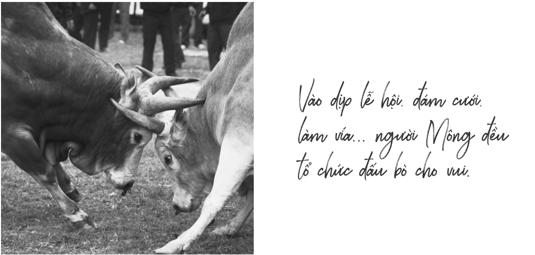 quote-4.png