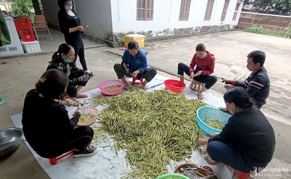 bna_mang_loi_33899893_27112021.jpg