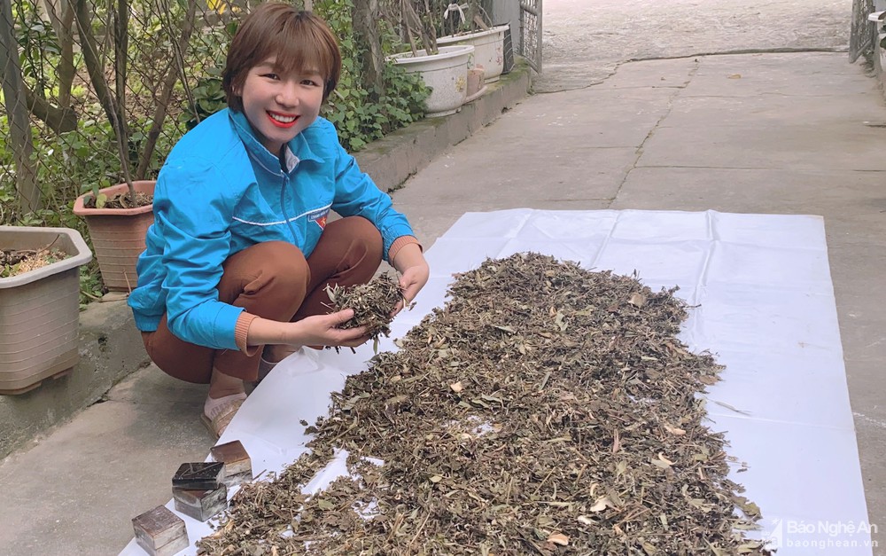 Phương pháp kinh doanh tại nhà ở nông thôn đạt lợi nhuận siêu tốc
