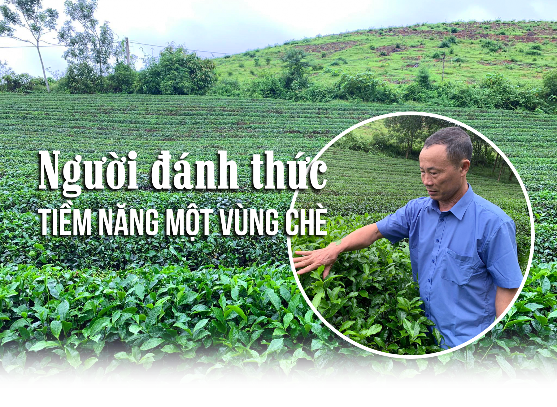 Nguoi-danh-thuc-tiem-nang-vuon-che-Anh-tieu-de-1.png