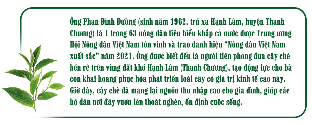 nguoi-danh-thuc-tiem-nang-vuon-che-sapo-1.png