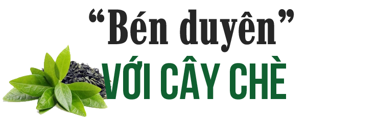 nguoi-danh-thuc-tiem-nang-vuon-che-tit1-1.png