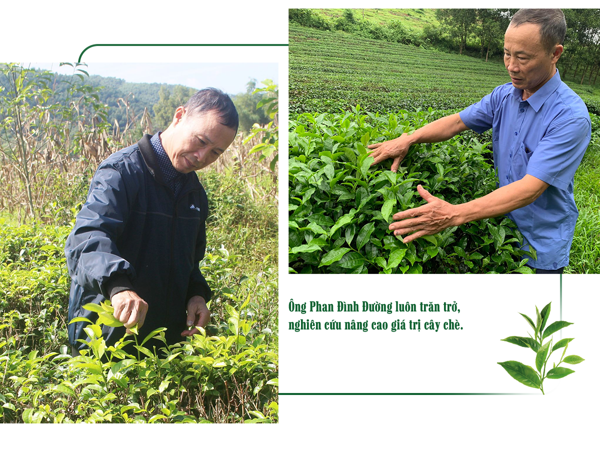 ong-phan-dinh-duong-a1.png