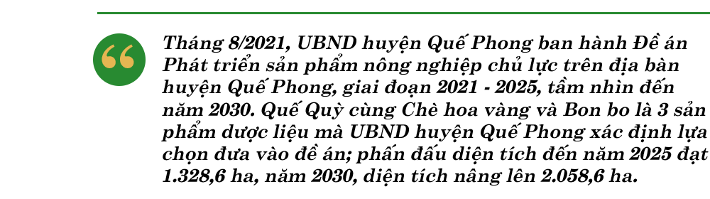them-xanh-dat-que-box1-2.png