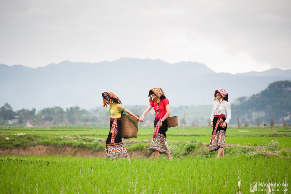 bna_nhung_co_gai_thai_quy_chau_tham_dong_anh_thanh_cuong5339954_3112022.jpg