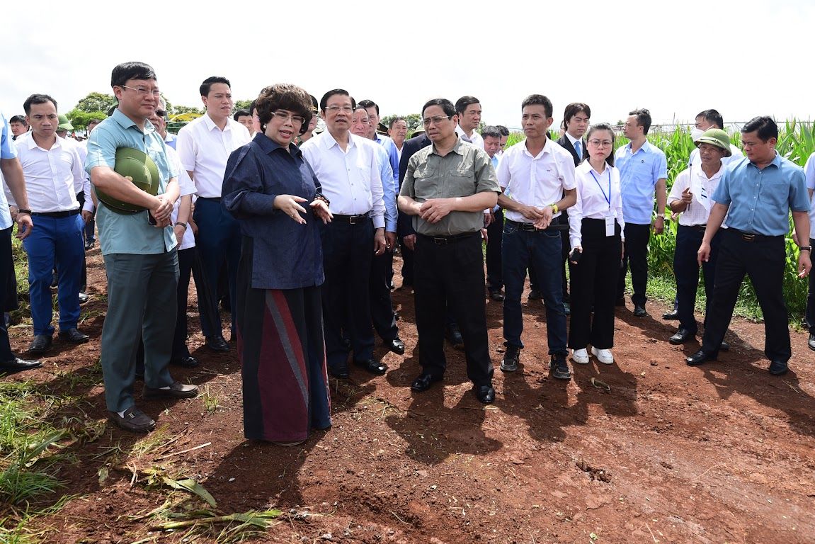 th-thutuong-16.jpg
