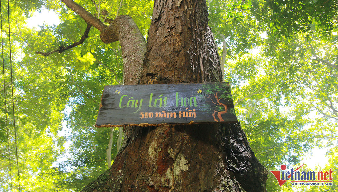 sang-le-5-1444.jpg