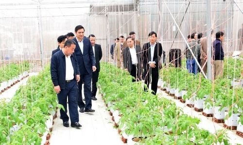 xay-dung-nong-thon-moi-1666257803.jpg