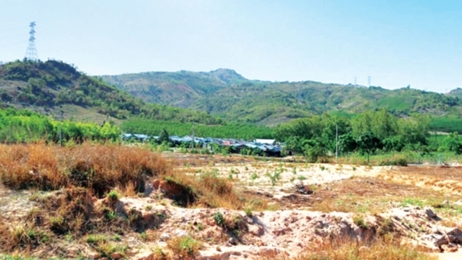 a1-1665009271744--n1.jpg