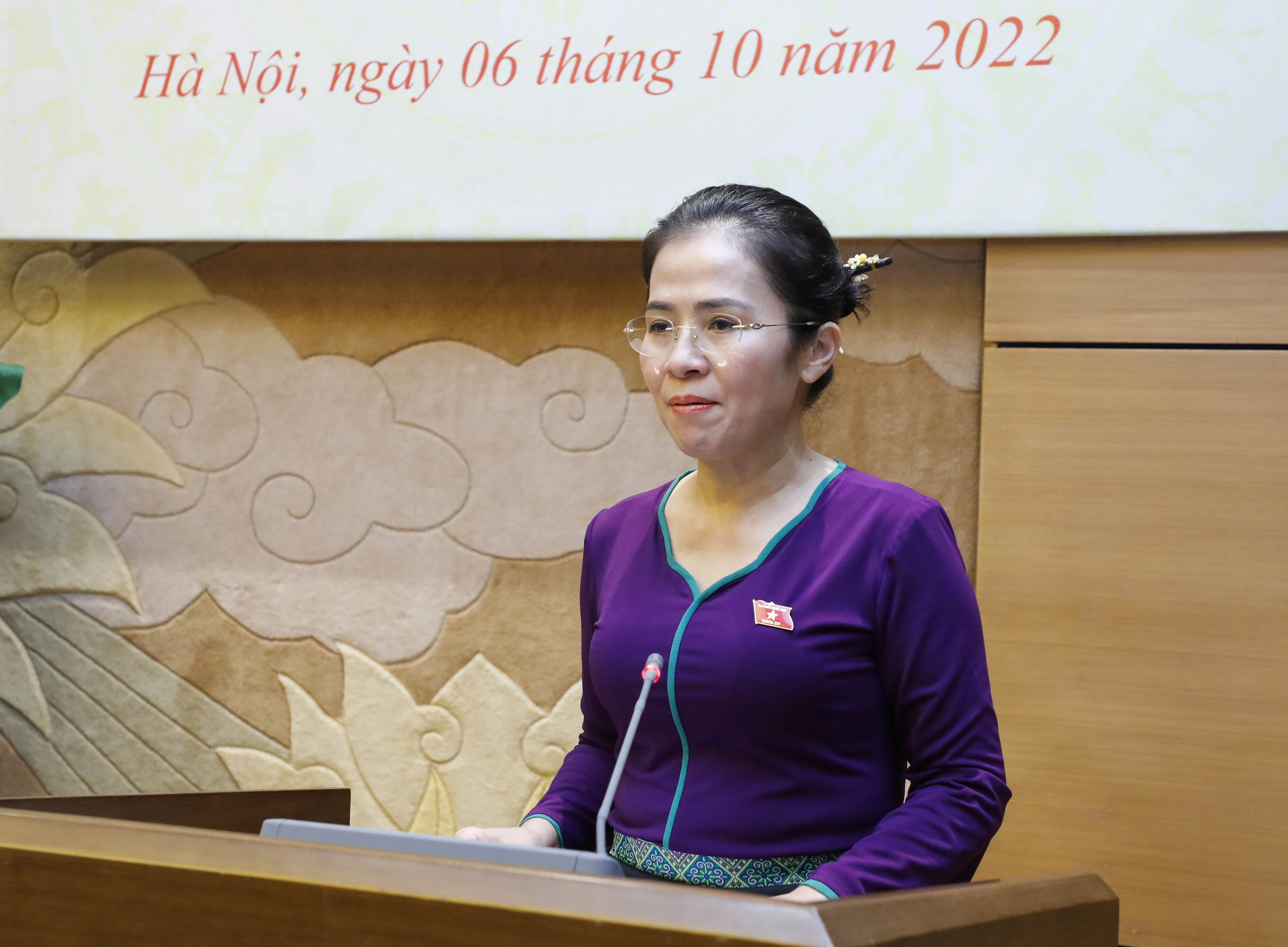 chu-tich-nhom-nu-dai-bieu-quoc-h-1665057580253.jpg
