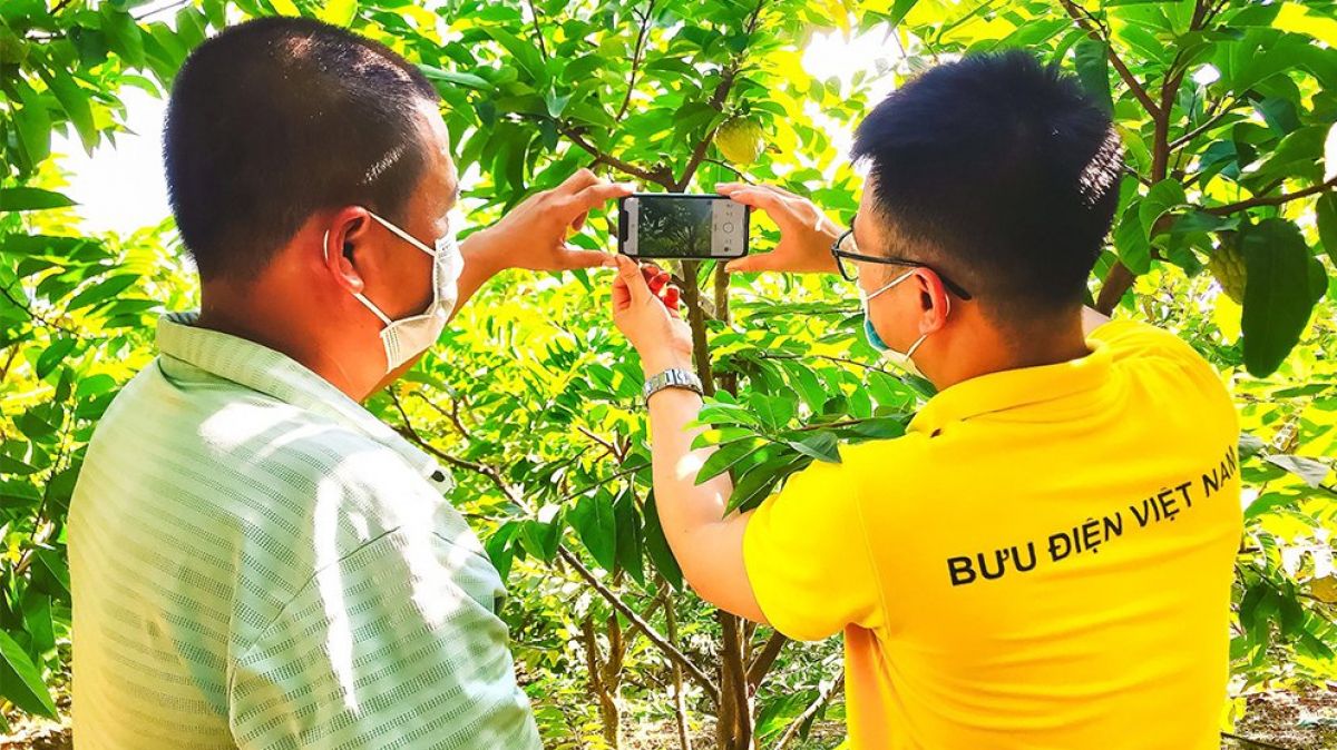 can-bo-buu-dien-huong-dan-nong-dan-cach-dua-hinh-anh-nong-san-len-san-tmdt.jpg