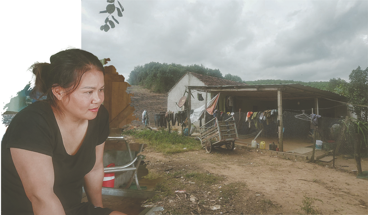 ban-mong-a5.png
