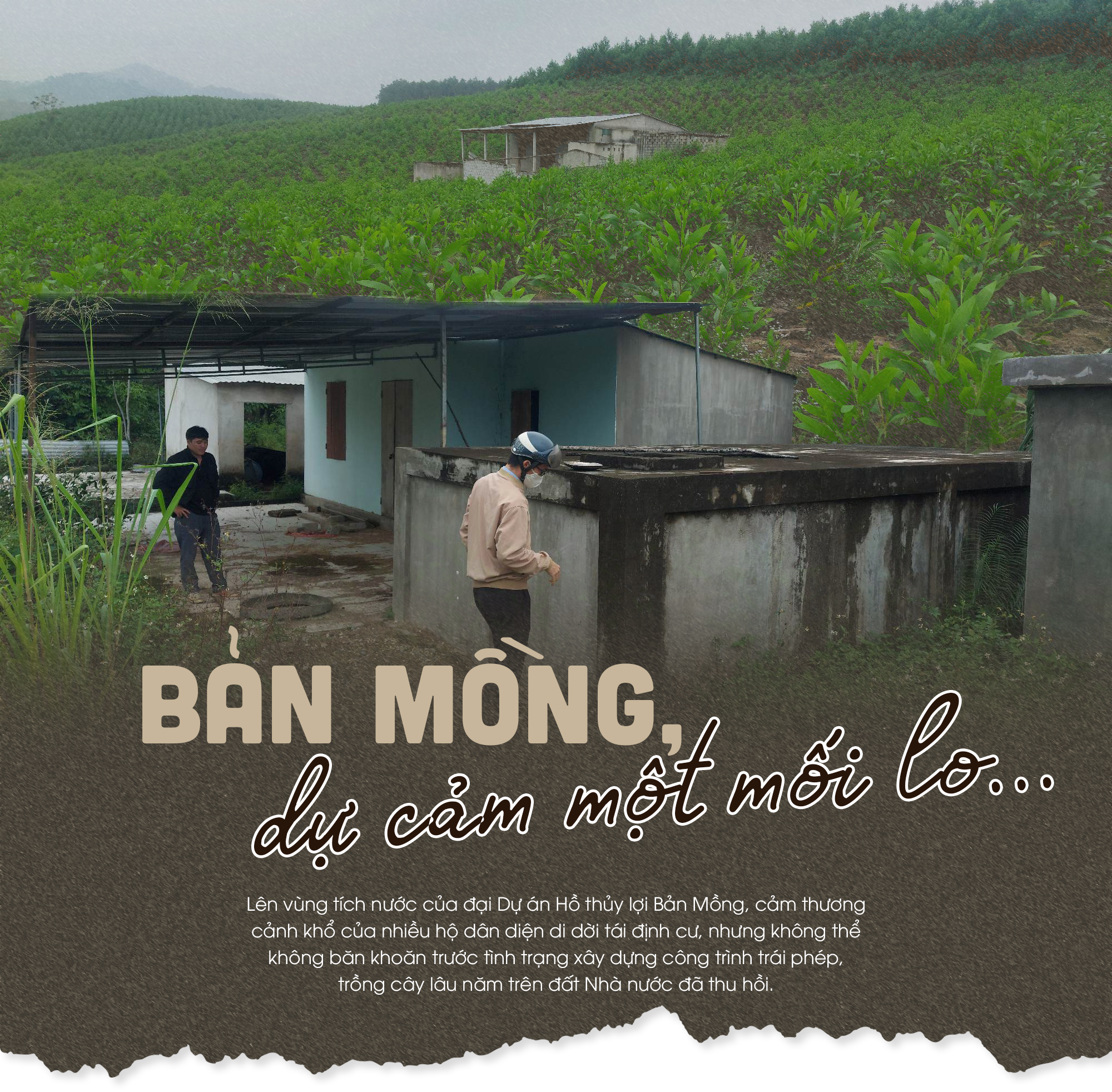 ban-mong-du-cam-mot-moi-lo-anhtieude2.png