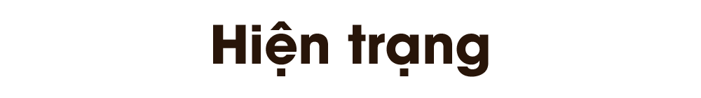 ban-mong-du-cam-mot-moi-lo-titphu1.png