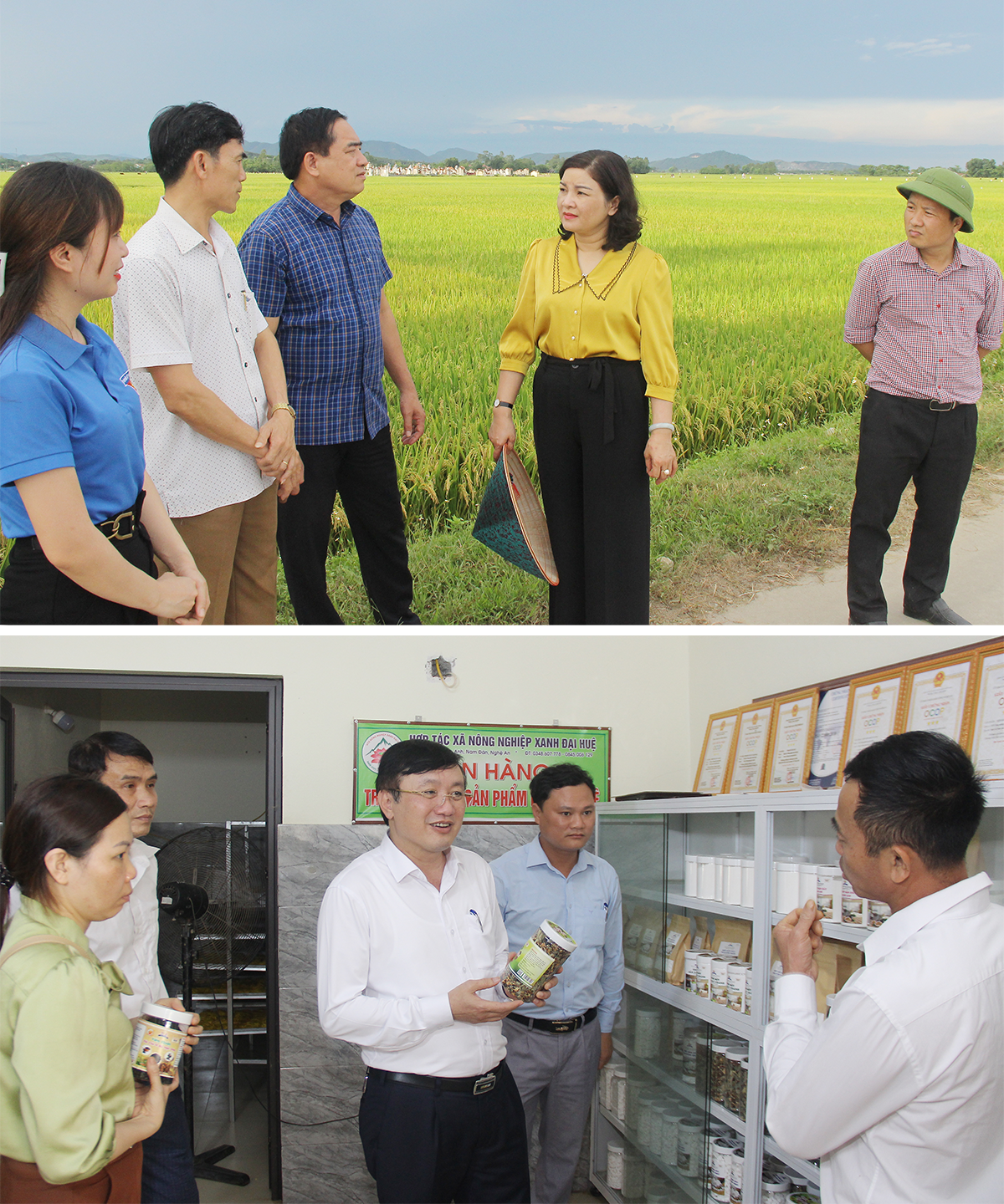 lanh-dao-huyen-nam-dan-lang-nghe-y-kien-cua-nhan-dan-xa-kim-lien-va-tim-hieu-kha-nang-tieu-thu-san-pham-ocoop-tai-xa-nam-anh-anh-mai-hoa.png