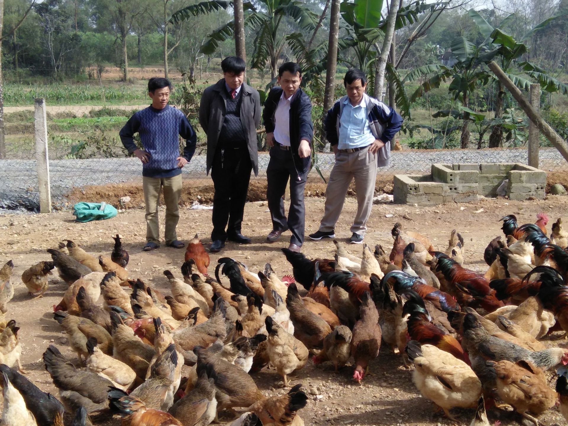 Lanh-dao-huyen-tham-quan-mo-hinh-ga-Thanh-Chuong.jpg
