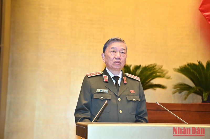 to-lam-7684--n1.jpg
