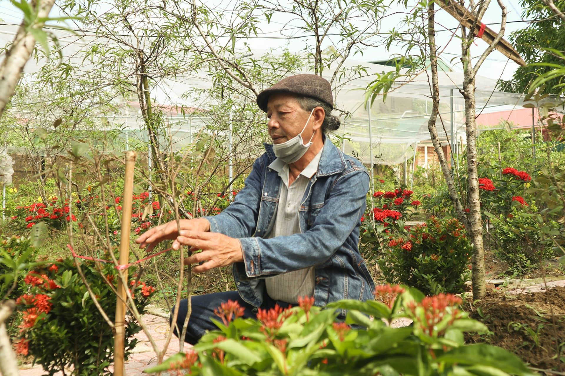 phat-trien-kinh-te-vuon-dang-la-huong-di-duoc-nhieu-nong-dan-ngoai-thanh-Vinh--trien-khai-co-hieu-qua.JPG