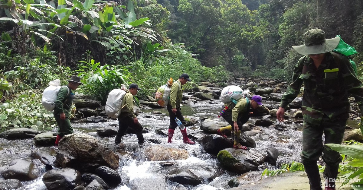 Chế độ cho người bảo vệ rừng ở Nghệ An: Tồn tại lớn, phải có giải pháp xử lý!