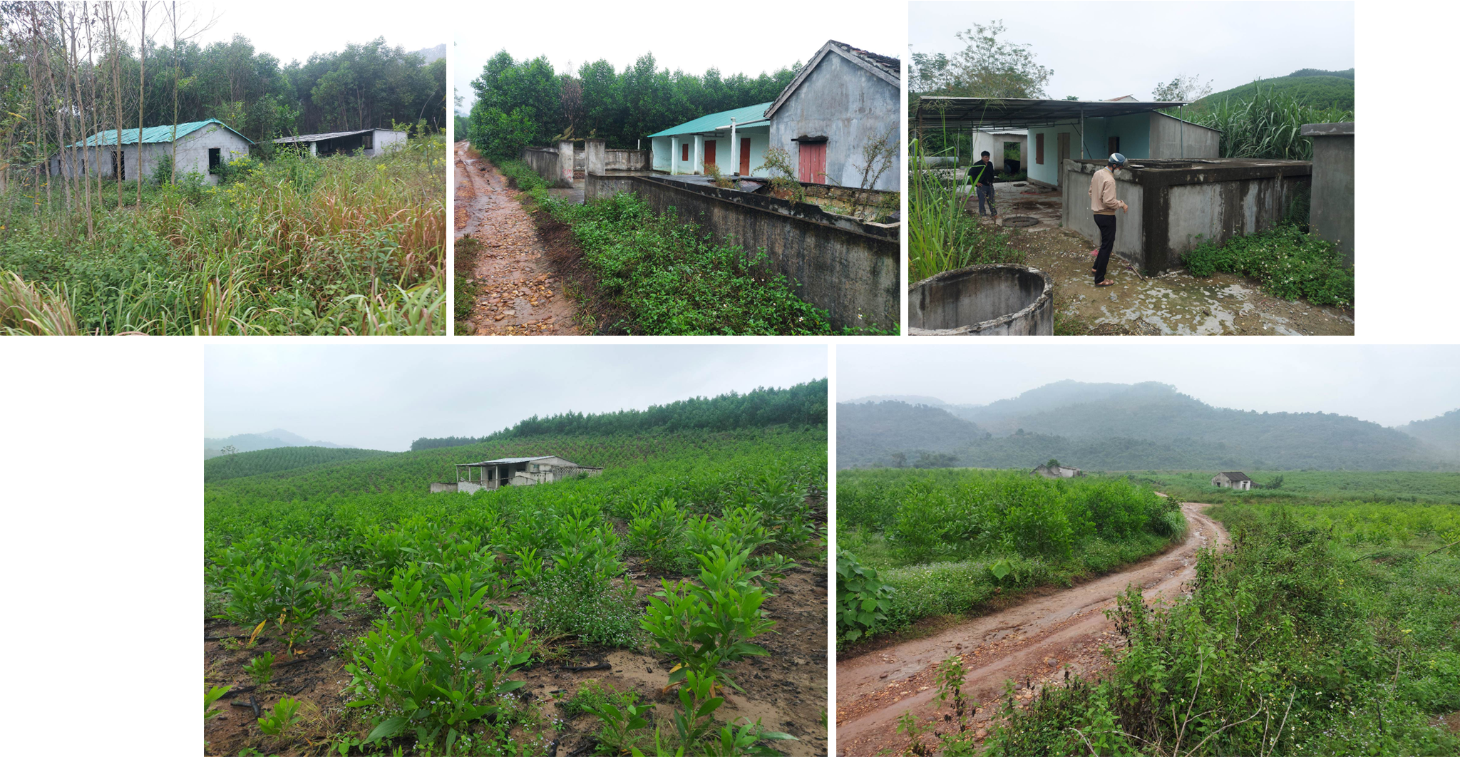 ban-mong-dai-du-an-chua-hen-ngay-ve-dich-a3.png