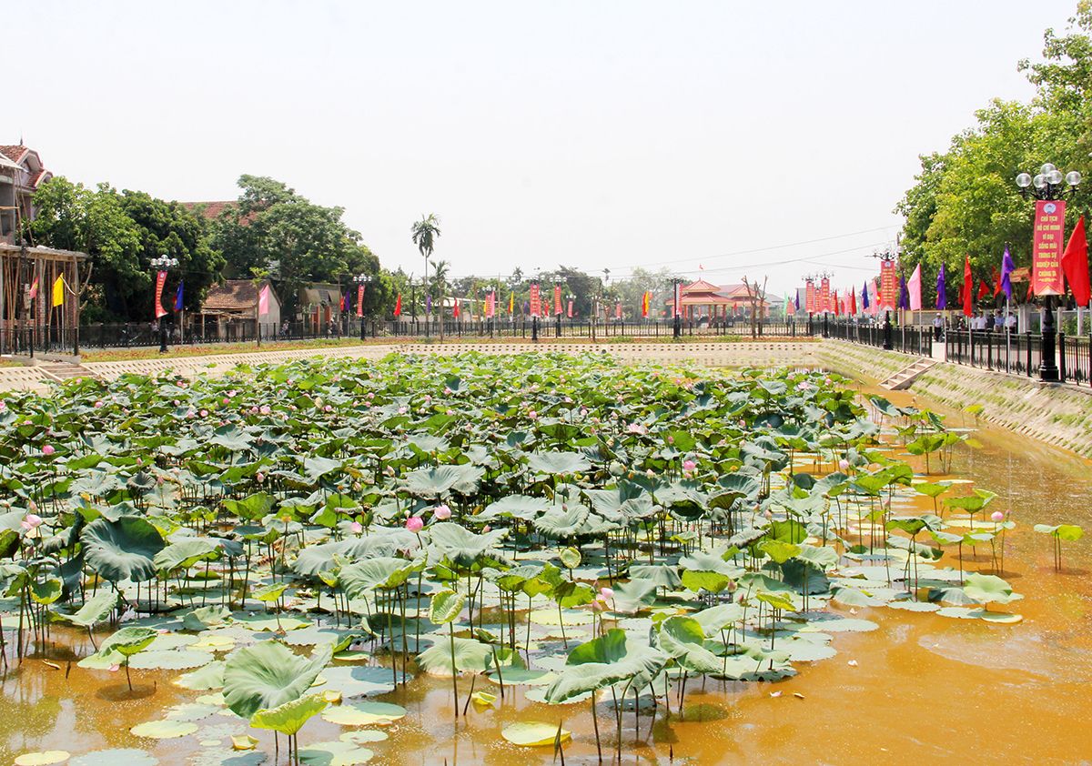 nhung-dam-sen-tao-diem-nhan-an-tuong-cho-du-khach-khi-ve-voi-que-huong-bac-ho-anh-tu-lieu-pham-bang.jpg