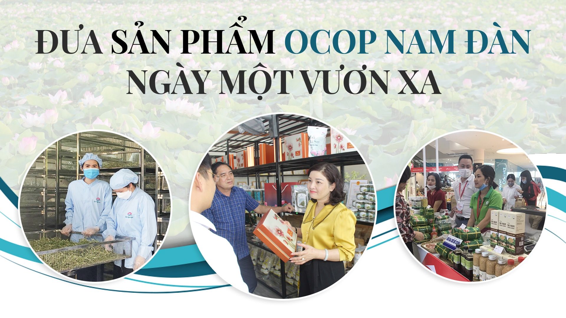ocop-nam-an.jpg