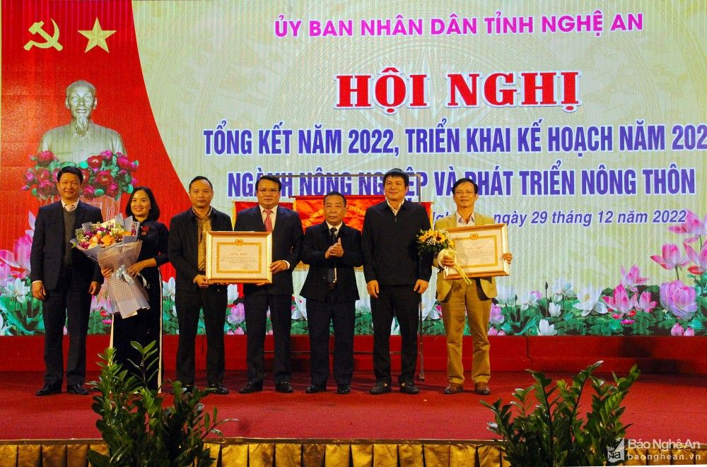 bna-bang-khen-btv-tinh-uy-anh-phu-huong-3896.jpg