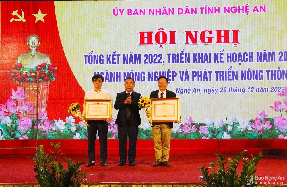 bna-bang-khen-tt-anh-phu-huong-716.jpg