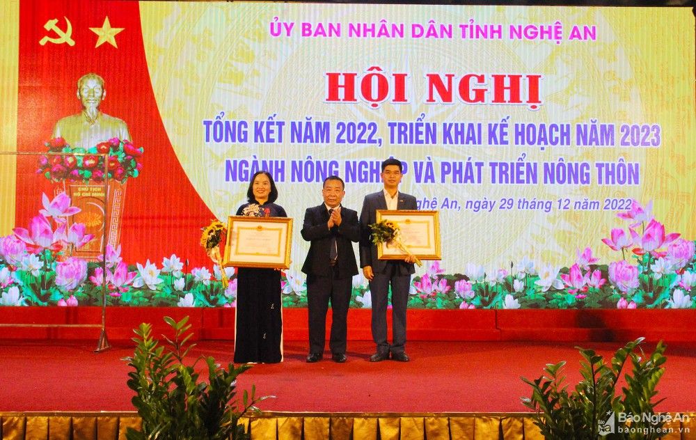 bna-hcld-anh-phu-huong-788.jpg