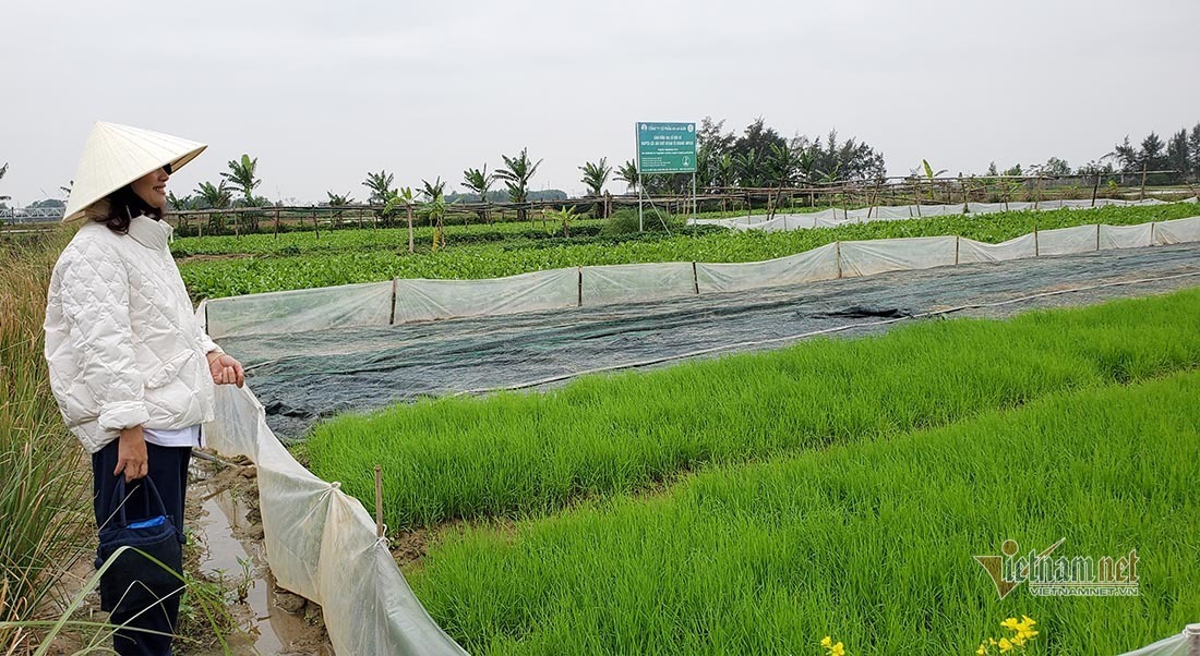 chuyen-ve-nguoi-phu-nu-o-nghe-an-trong-lua-mach-huu-co-dau-tien-1.jpg