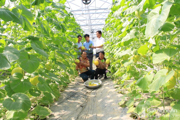 bna_mo_hinh_dua_luoi_cua_gia_dinh_anh_nguyen_phung_khoithanh_quynh3140762_1422022--n1.jpg