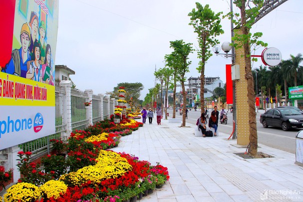 pho-di-bo-sach-dep-o-thanh-pho-vinh-1.jpg