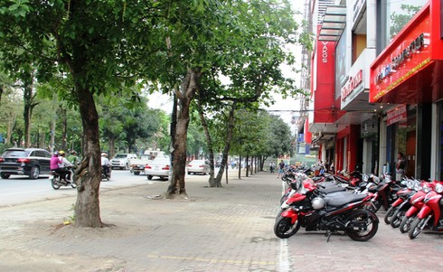 sau-4-nam-thuc-hien-tinh-trang-vi-pham-lan-chiem-hanh-lang-an-toan-giao-thong-tren-dia-ban-tinh-da-co-nhieu-chuyen-bien-tich-cuc.jpg