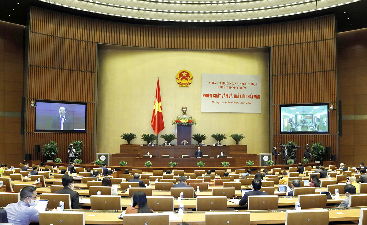 20220316144237toancanhchieu2621173_1632022.jpg