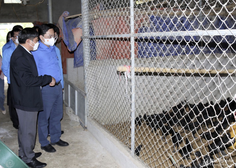 bna_trung_uong_doan_tham_tong_doi_8_thanh_quynh6302812_232022.jpg