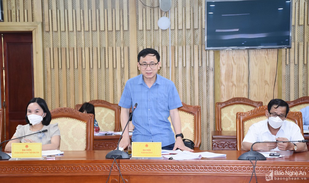 bna_anhsu4417387_2232022.jpg