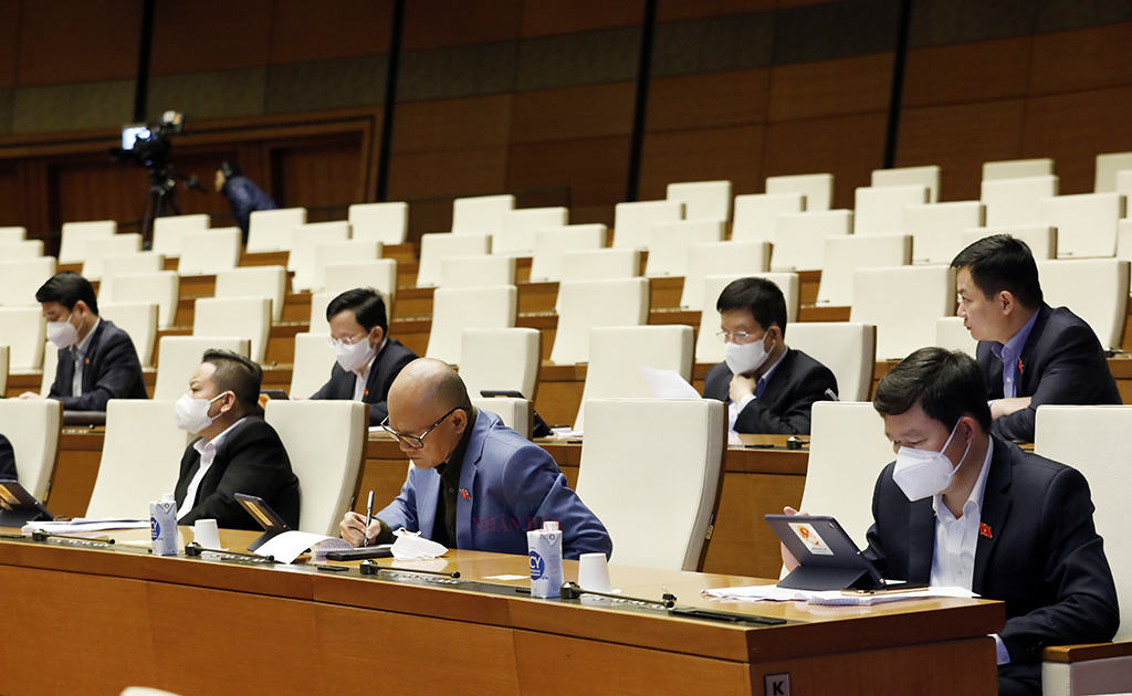 20220329124610dai-bieu.jpg
