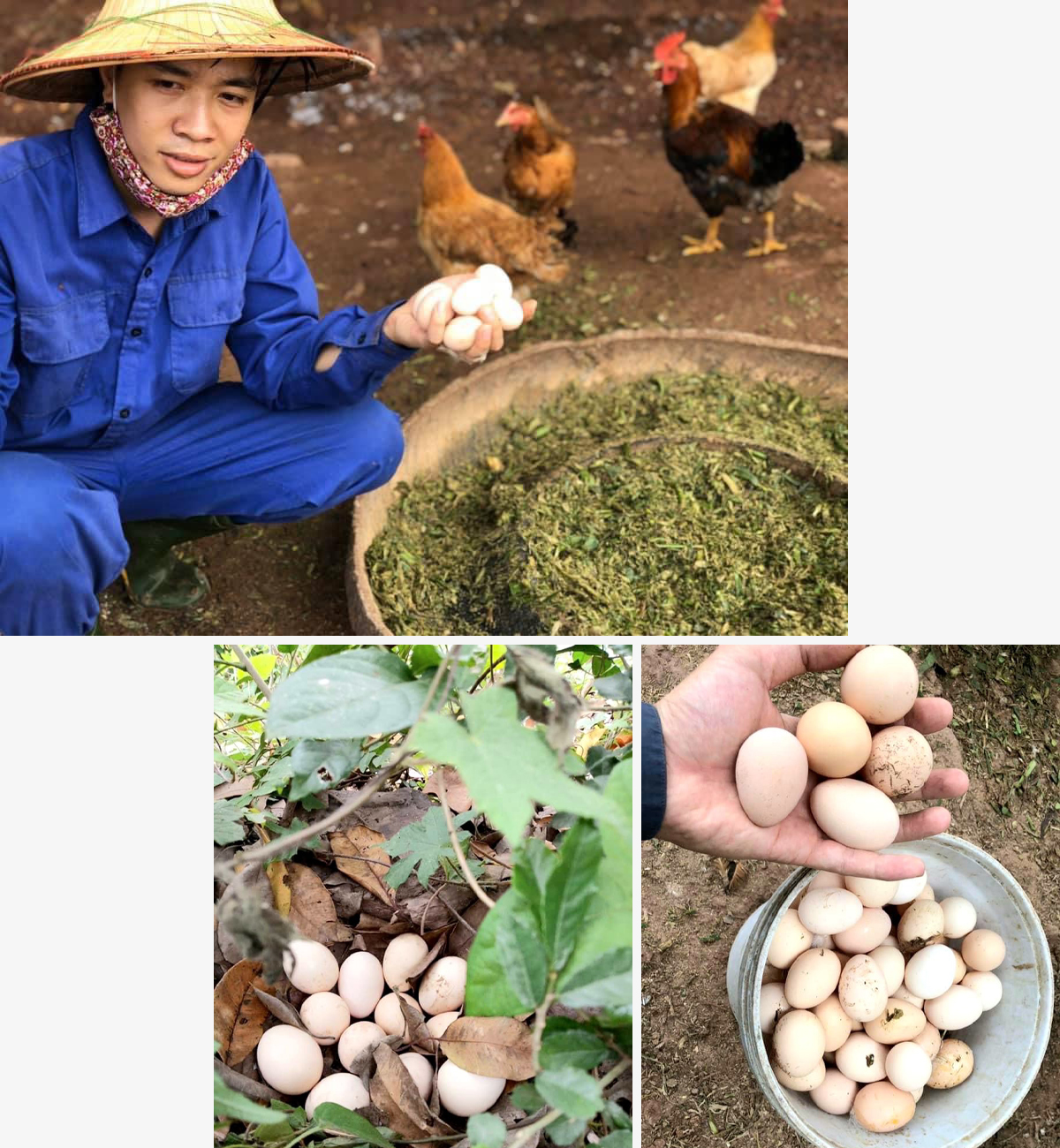 khat-vong-moi-a1.jpg