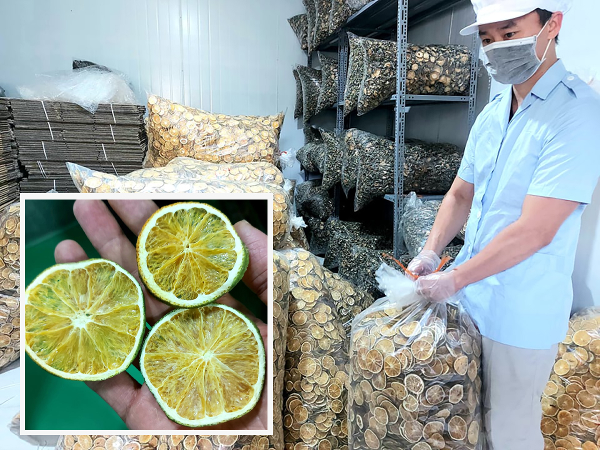 khat-vong-moi-a5-1.jpg