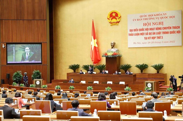 ttxvn_luat_dien_anh_12712807_2932022.jpg