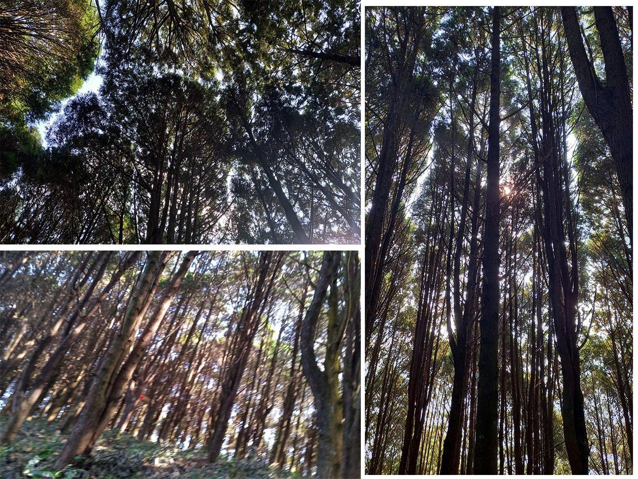 569f2ce4890d45531c1c.png