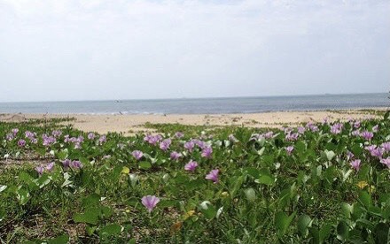 d2c4bdc97002be5ce713.jpg