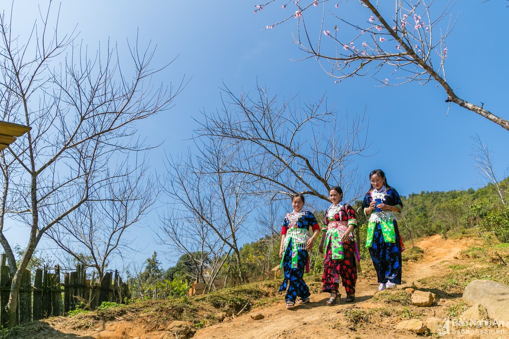 Khảo sát lấy ý kiến xác định thành phần, tên gọi một số dân tộc ở Nghệ An