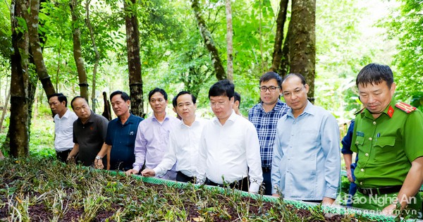 Chủ tịch UBND tỉnh Nguyễn Đức Trung kiểm tra các dự án đầu tư tại huyện Kỳ Sơn