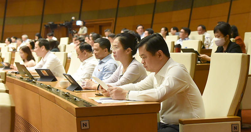 qh-sang1-607-1654050362826--n1.jpg